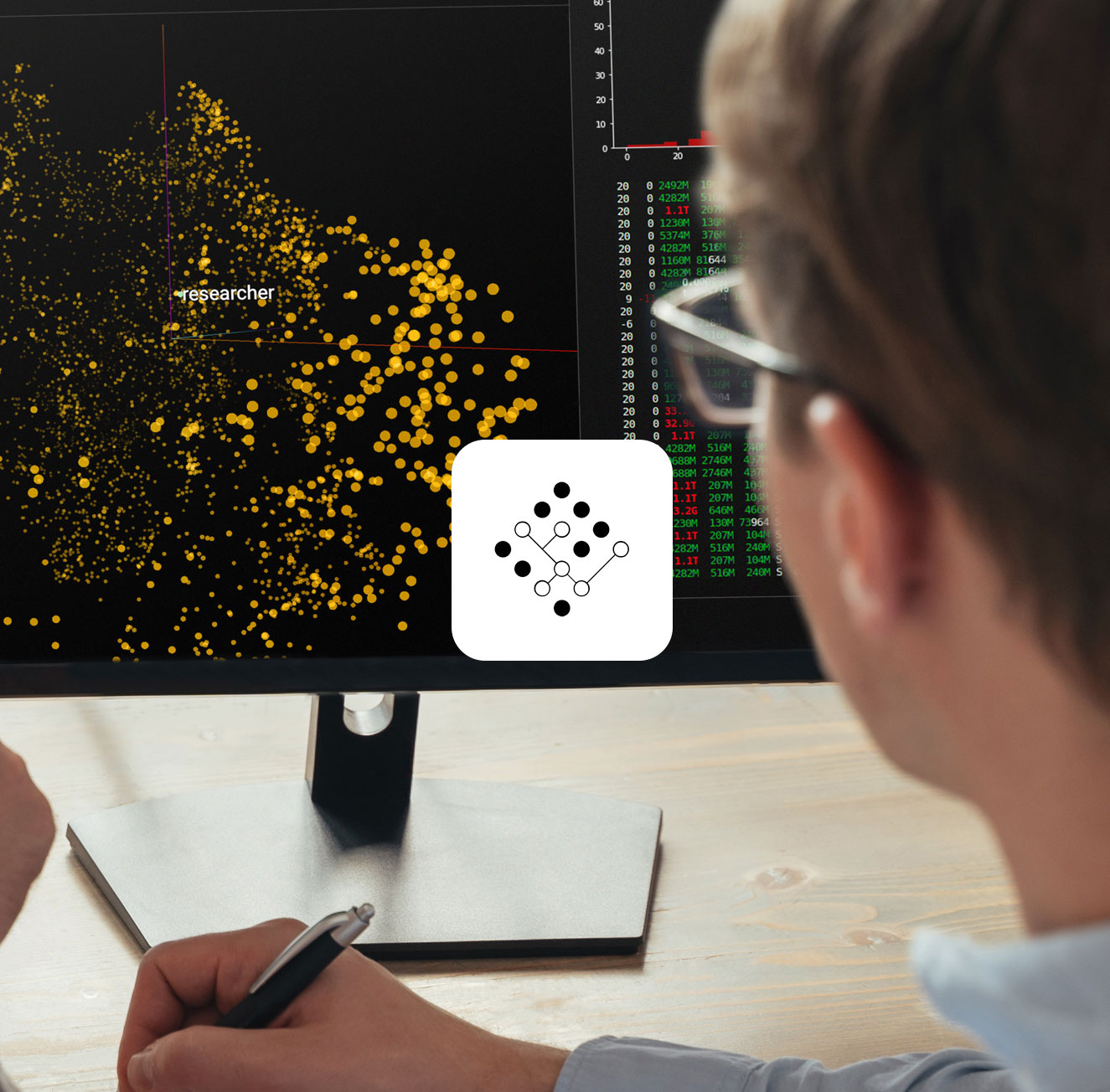 Seeing the Whole Picture
